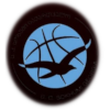 https://img.zhongtezixun.com/img/basketball/team/1a45d903dafdcc026ec9809d9916a681.png