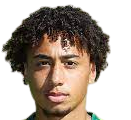 https://img.zhongtezixun.com/img/football/player/347a6d58ae7ec0425a4d42bc9215c411.png