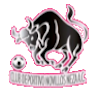 https://img.zhongtezixun.com/img/football/team/97c3ef30cac48cadff97605e387feefa.png