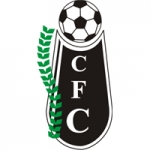 https://img.zhongtezixun.com/img/football/team/bfd82144fdcb8716ce0e1c2ea42a6ed5.png